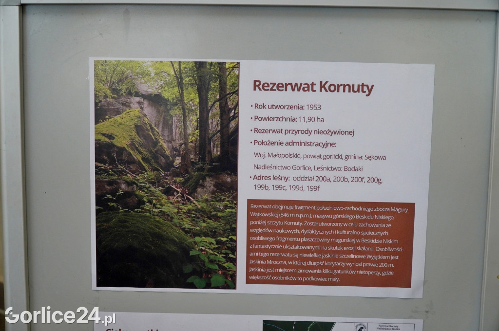 Rezerwat przyrody Jelenia Góra