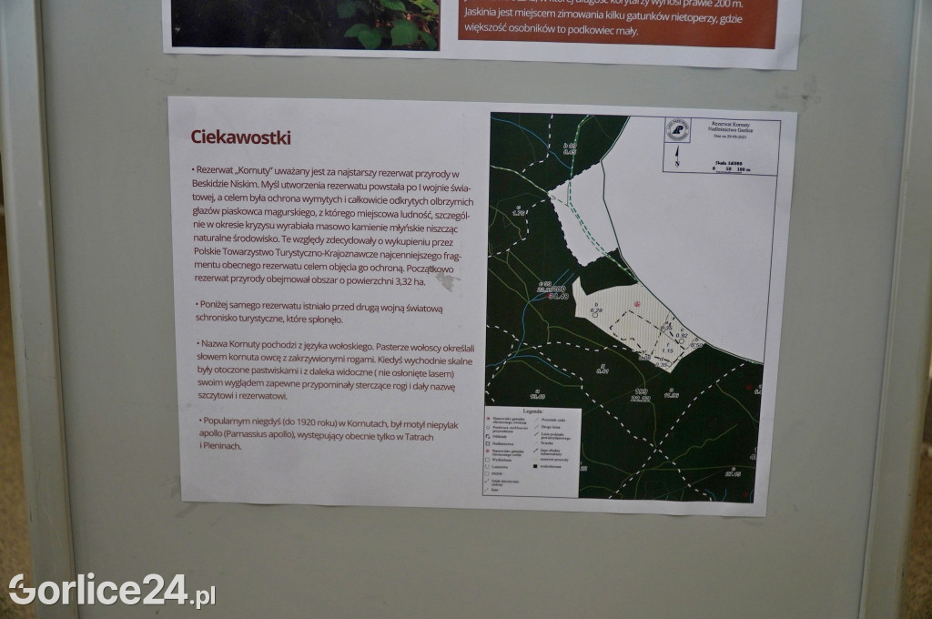 Rezerwat przyrody Jelenia Góra