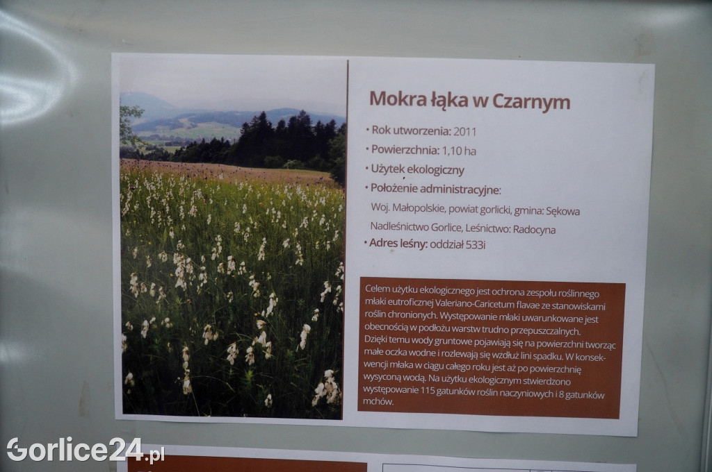 Rezerwat przyrody Jelenia Góra