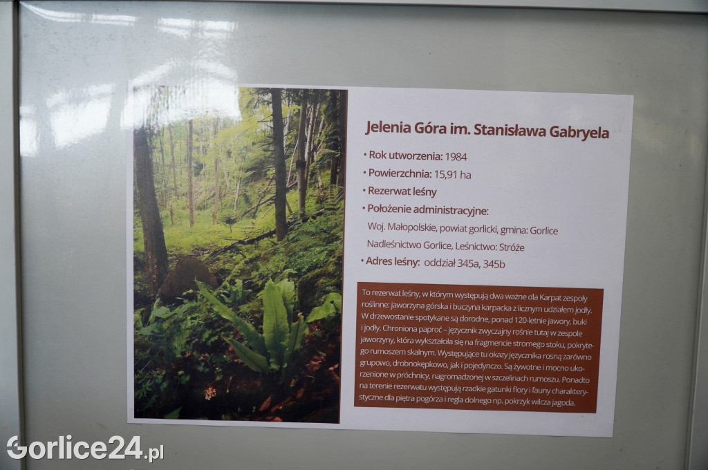 Rezerwat przyrody Jelenia Góra