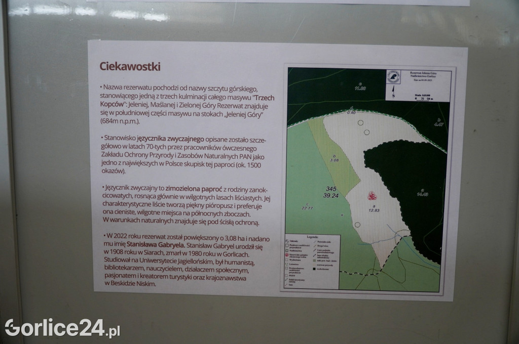 Rezerwat przyrody Jelenia Góra