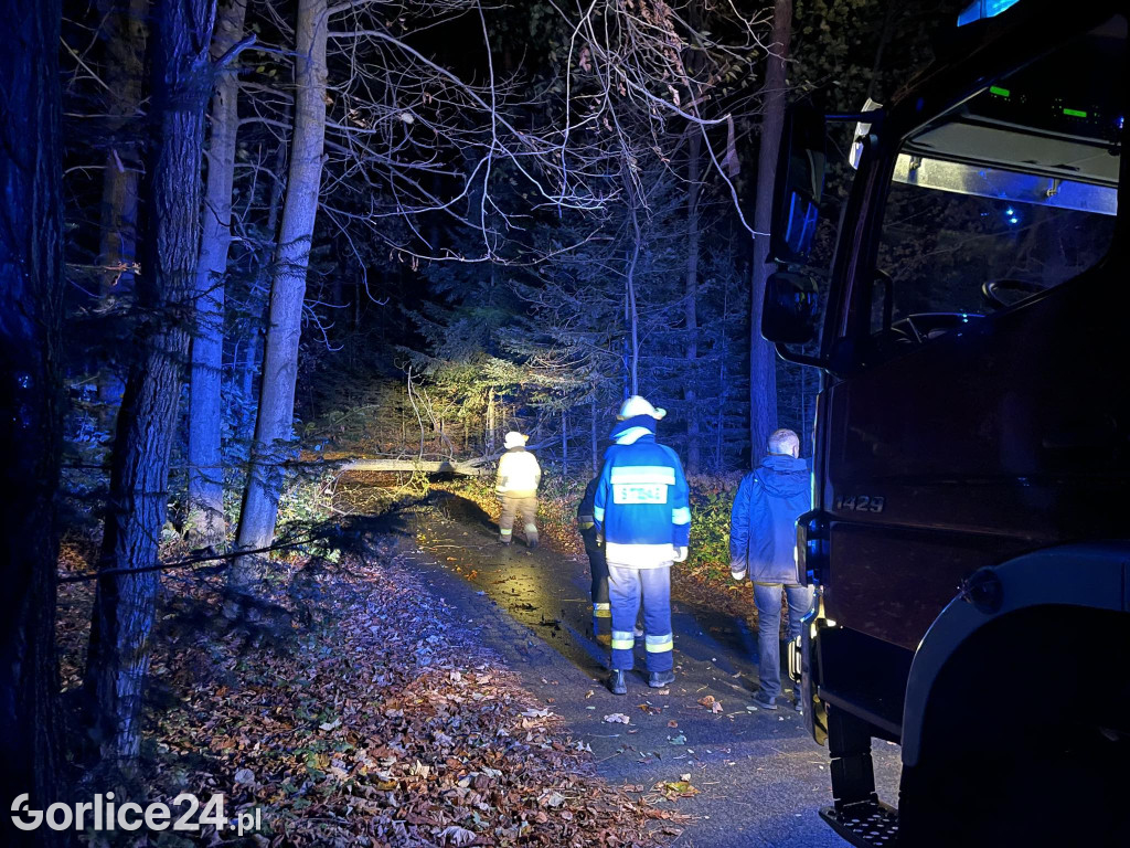 Skutki wichury (03.11.)