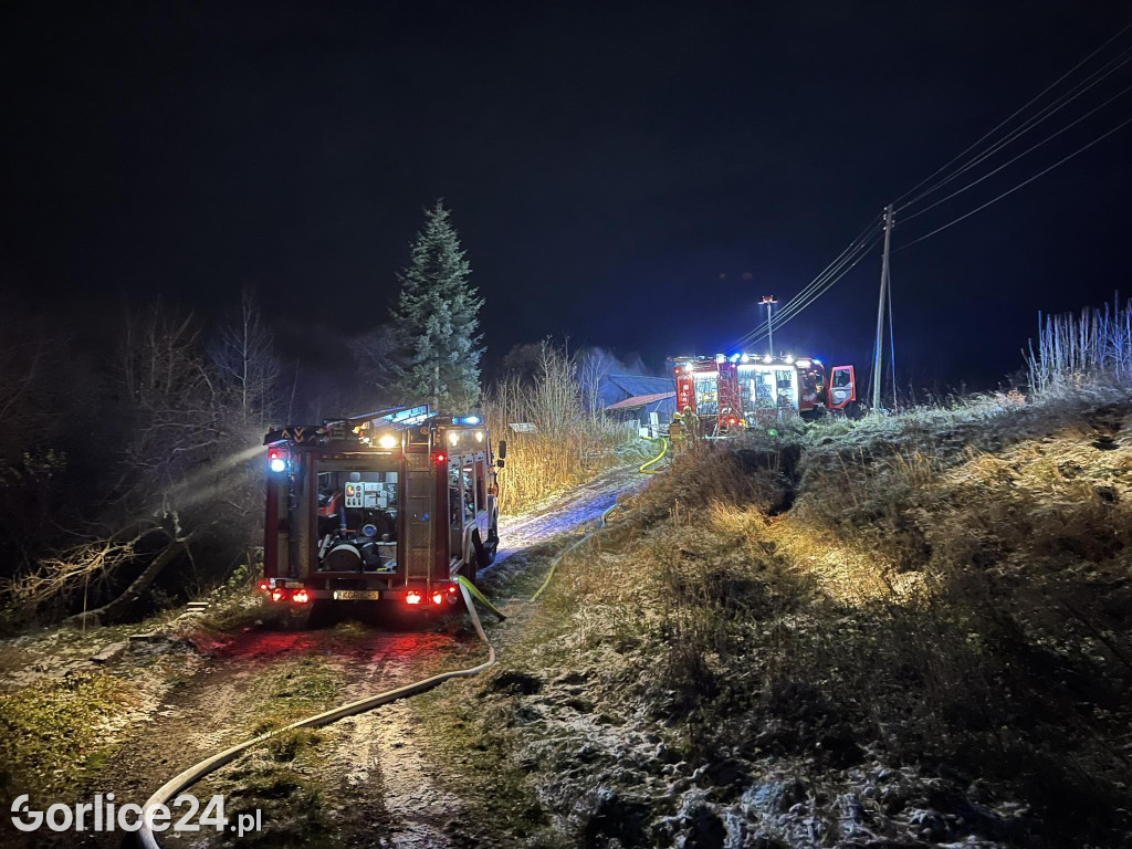 Pożar domu w Grudnej Kępskiej (25.11.)