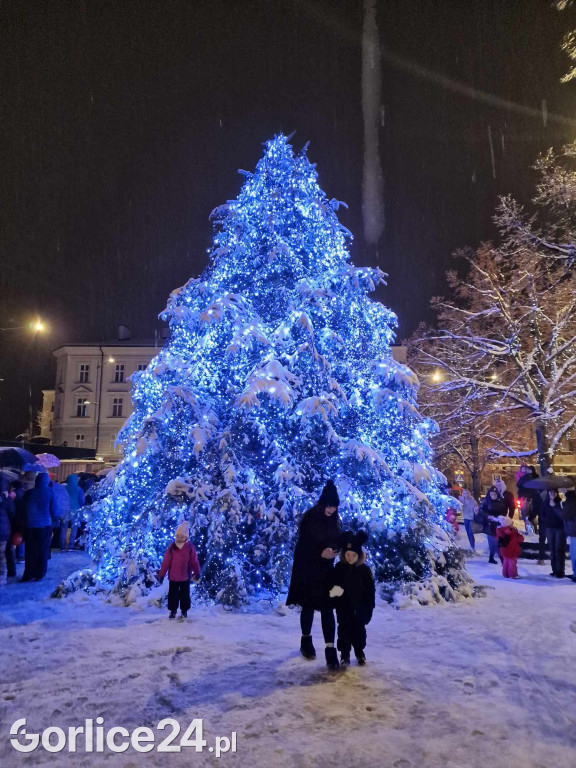 Choinka na gorlickim Rynku