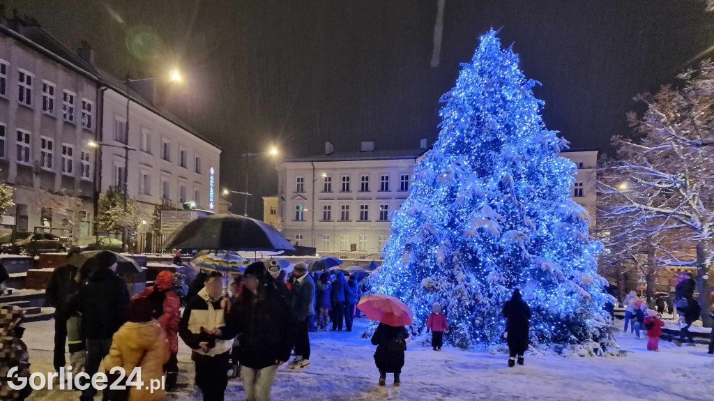 Choinka na gorlickim Rynku