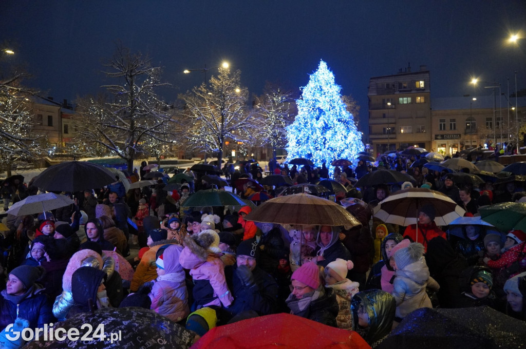 Choinka na gorlickim Rynku