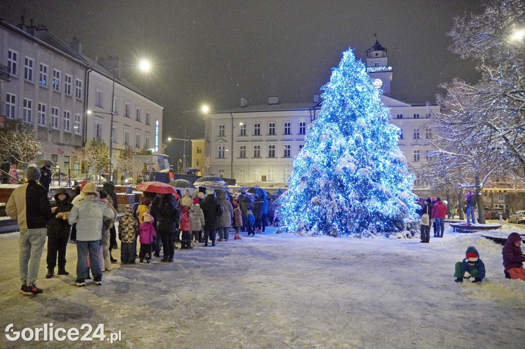 Choinka na gorlickim Rynku