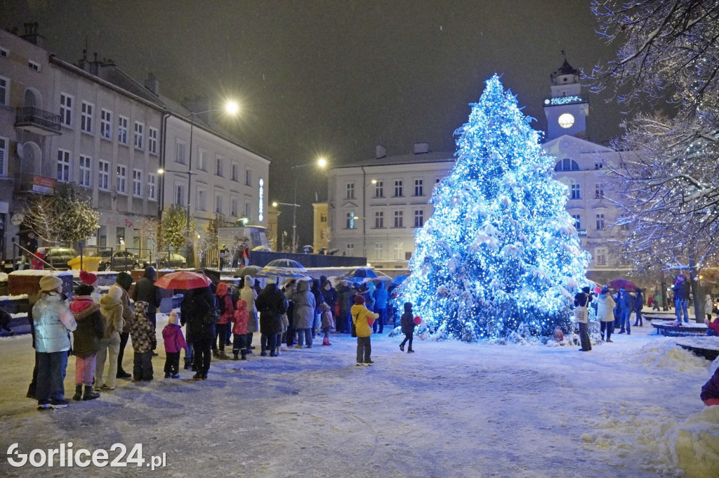 Choinka na gorlickim Rynku