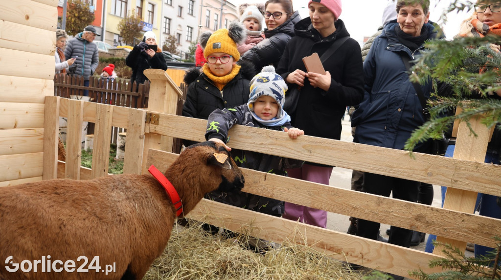 XII Wigilia Gorlicka i drugi dzień Jarmarku (17.12.)