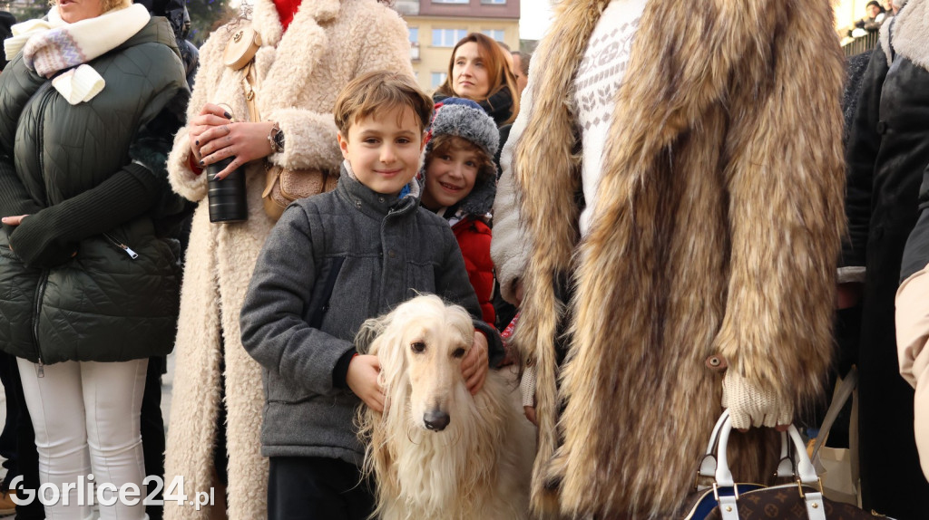 XII Wigilia Gorlicka i drugi dzień Jarmarku (17.12.)
