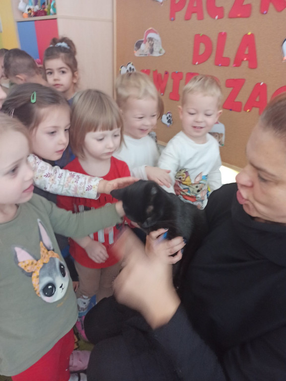 Paczka dla zwierzaka od przedszkolaków z Libuszy