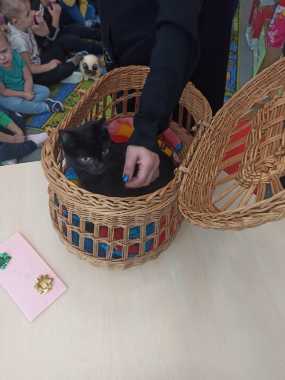 Paczka dla zwierzaka od przedszkolaków z Libuszy