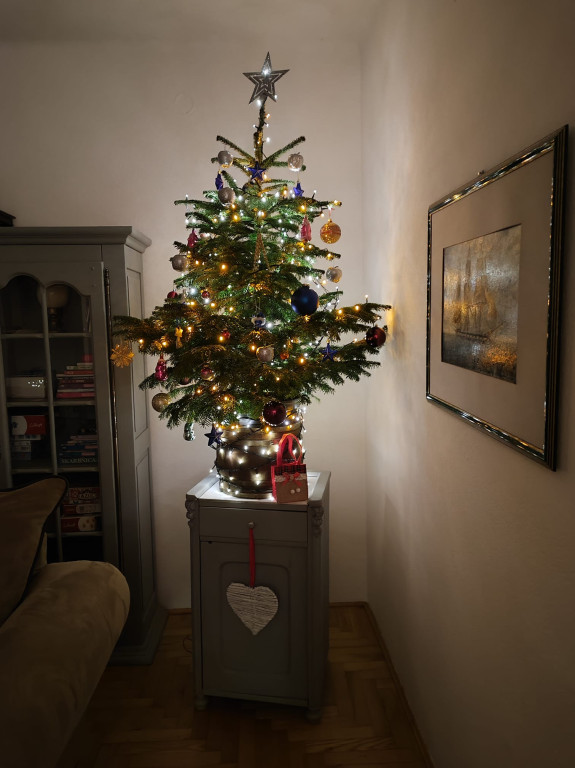 Choinki Czytelników Gorlice24.pl