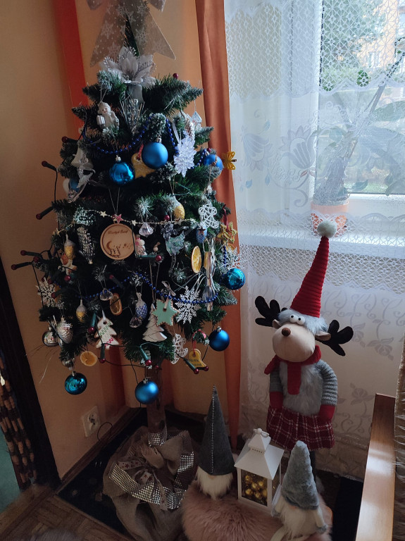 Choinki Czytelników Gorlice24.pl