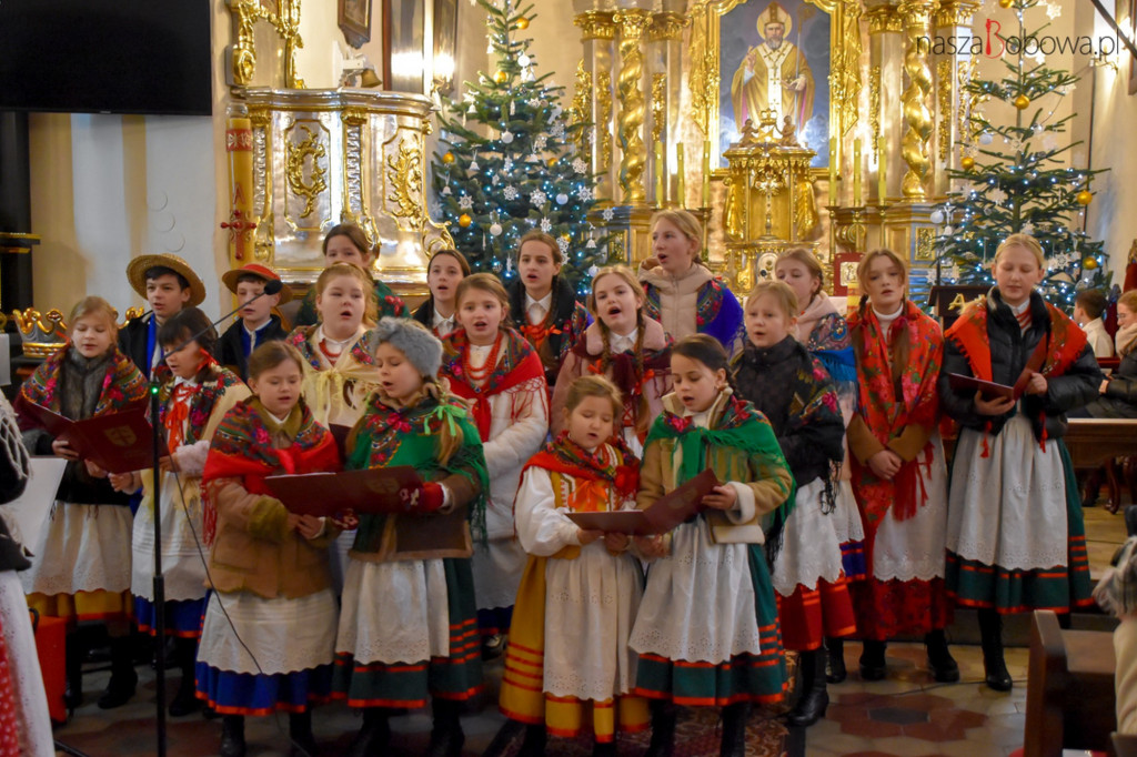 Mała Koronka i Szabasówka w Siedliskach (15.01)