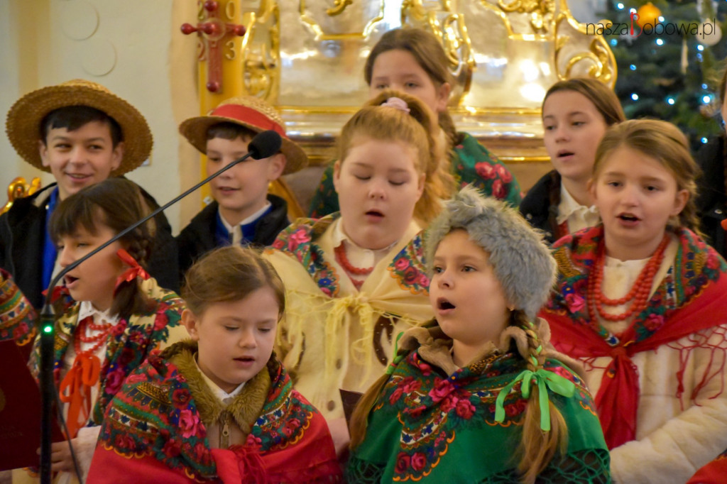 Mała Koronka i Szabasówka w Siedliskach (15.01)