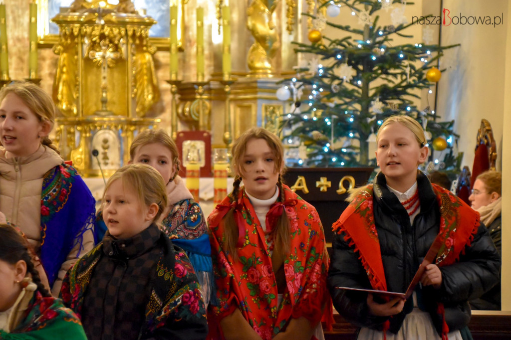 Mała Koronka i Szabasówka w Siedliskach (15.01)