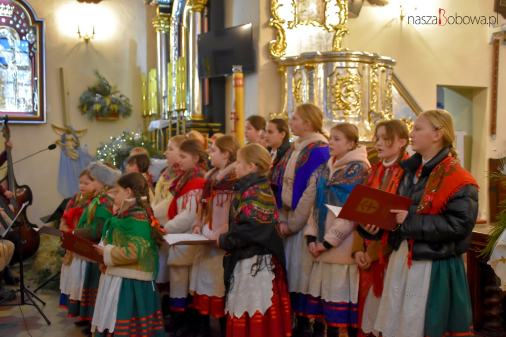 Mała Koronka i Szabasówka w Siedliskach (15.01)