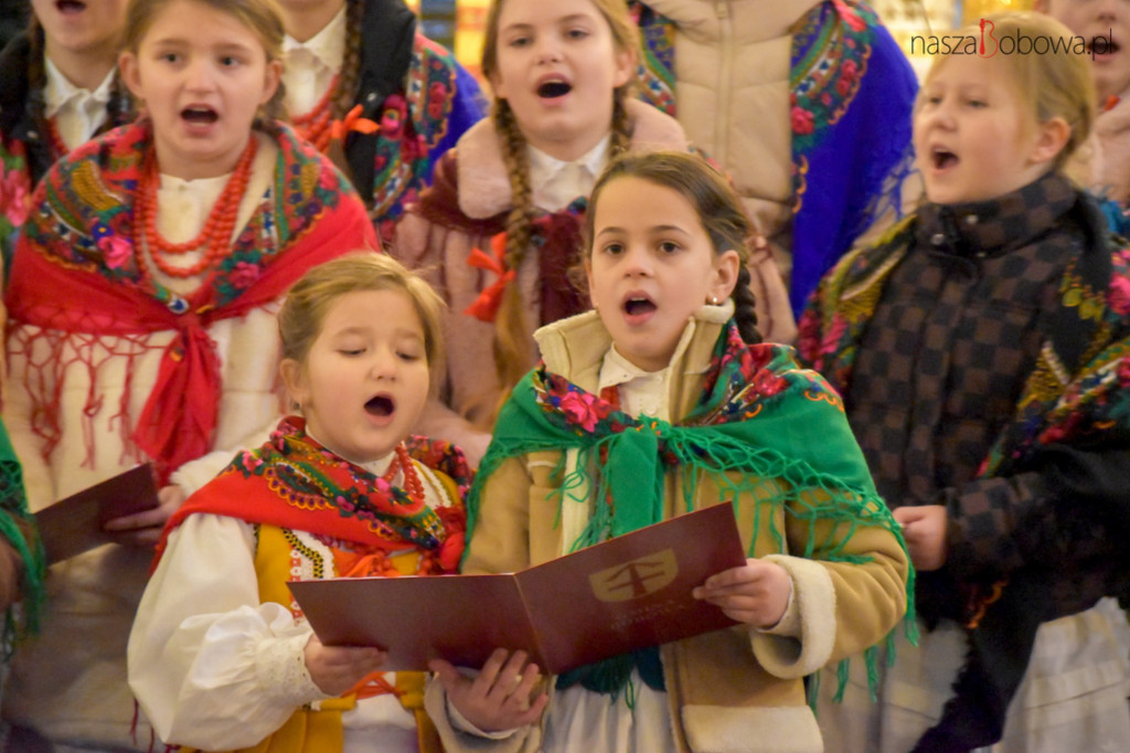 Mała Koronka i Szabasówka w Siedliskach (15.01)