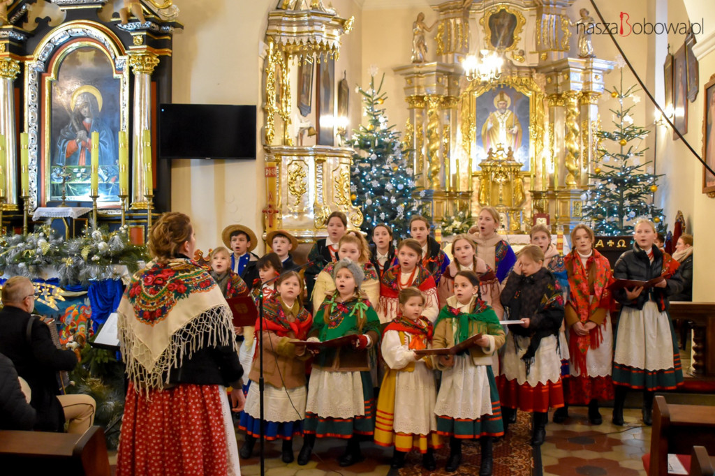 Mała Koronka i Szabasówka w Siedliskach (15.01)
