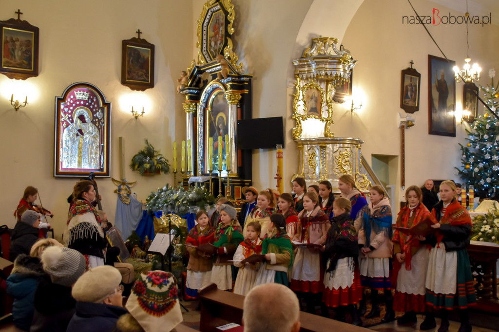 Mała Koronka i Szabasówka w Siedliskach (15.01)