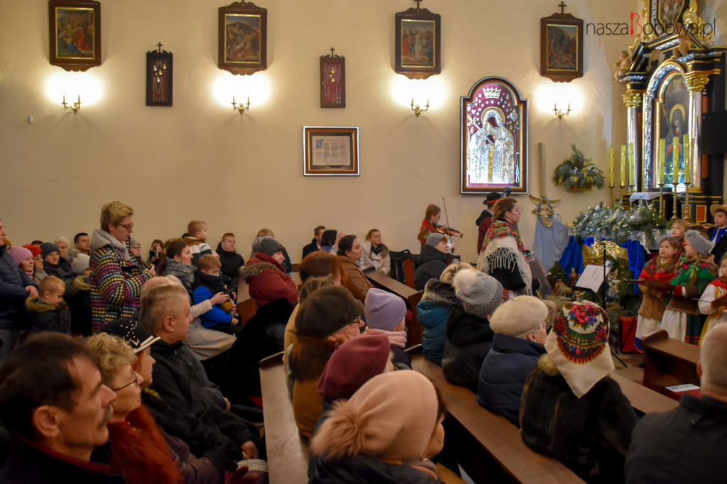 Mała Koronka i Szabasówka w Siedliskach (15.01)