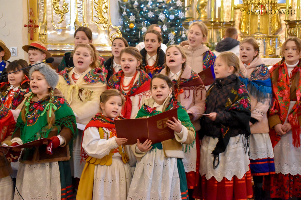 Mała Koronka i Szabasówka w Siedliskach (15.01)