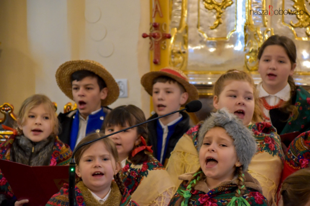 Mała Koronka i Szabasówka w Siedliskach (15.01)