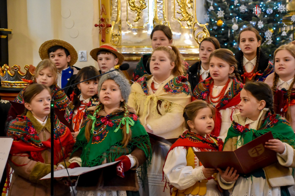 Mała Koronka i Szabasówka w Siedliskach (15.01)