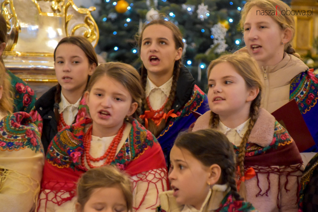 Mała Koronka i Szabasówka w Siedliskach (15.01)