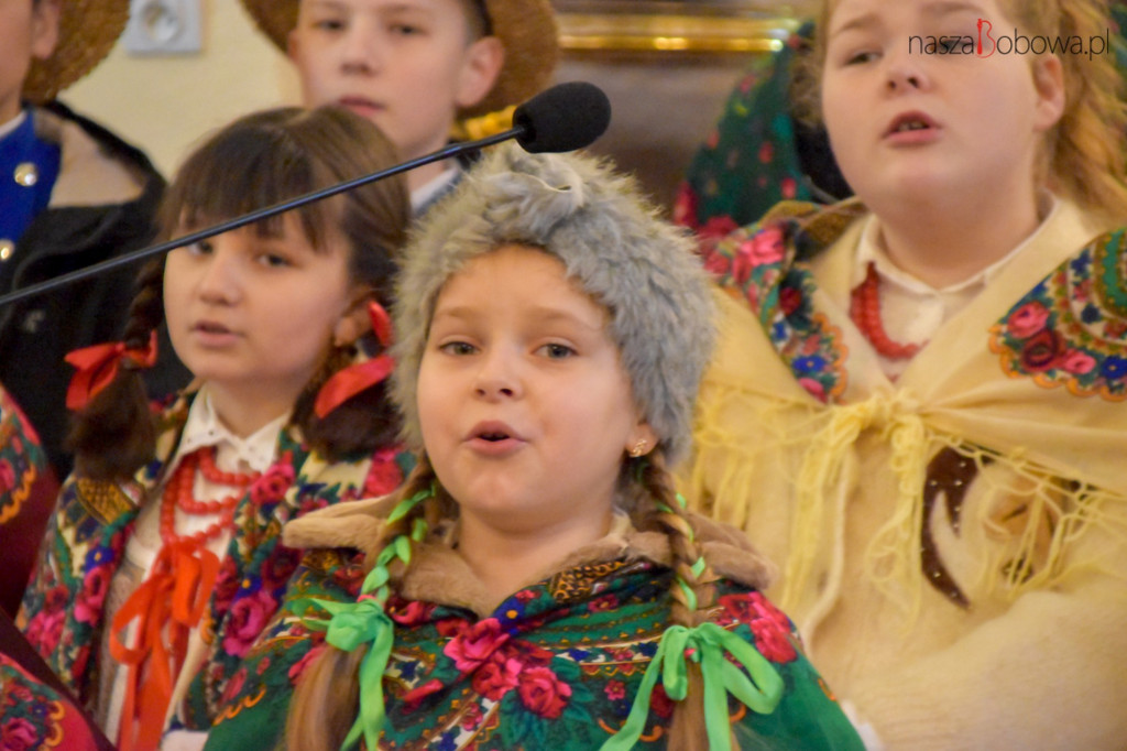 Mała Koronka i Szabasówka w Siedliskach (15.01)