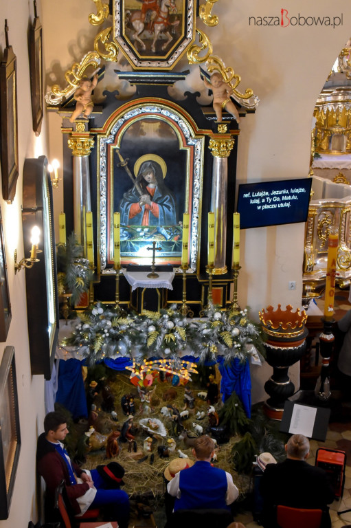 Mała Koronka i Szabasówka w Siedliskach (15.01)