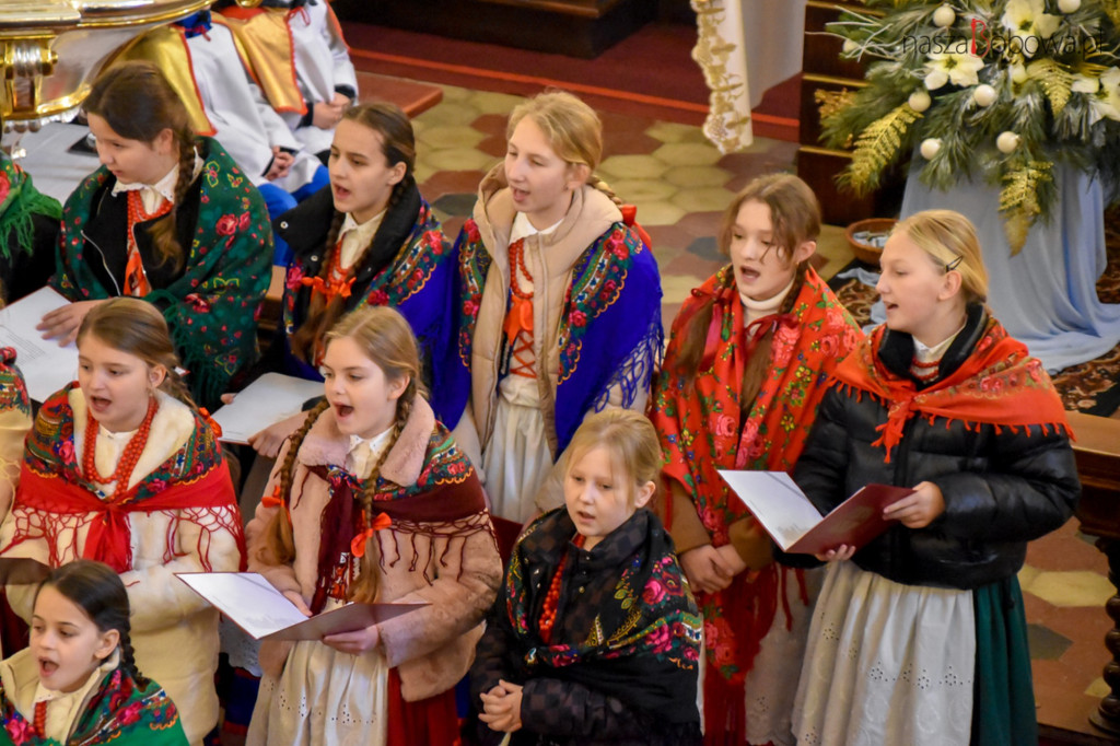 Mała Koronka i Szabasówka w Siedliskach (15.01)