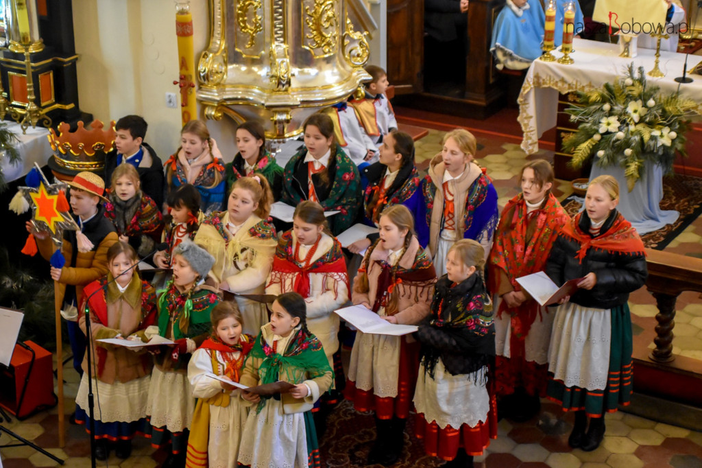 Mała Koronka i Szabasówka w Siedliskach (15.01)
