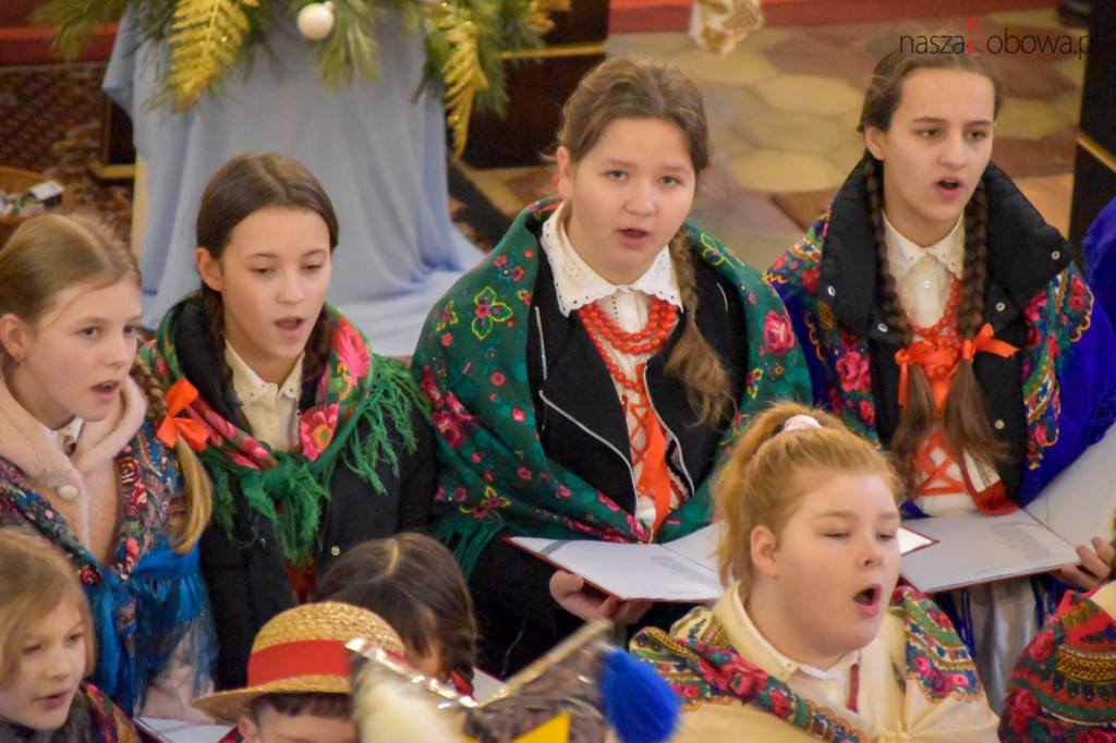 Mała Koronka i Szabasówka w Siedliskach (15.01)