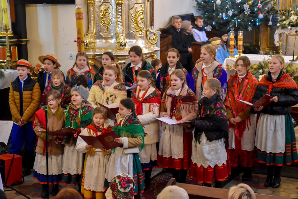 Mała Koronka i Szabasówka w Siedliskach (15.01)