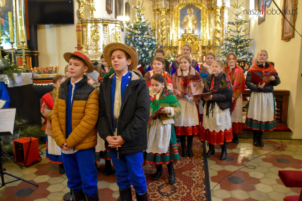 Mała Koronka i Szabasówka w Siedliskach (15.01)