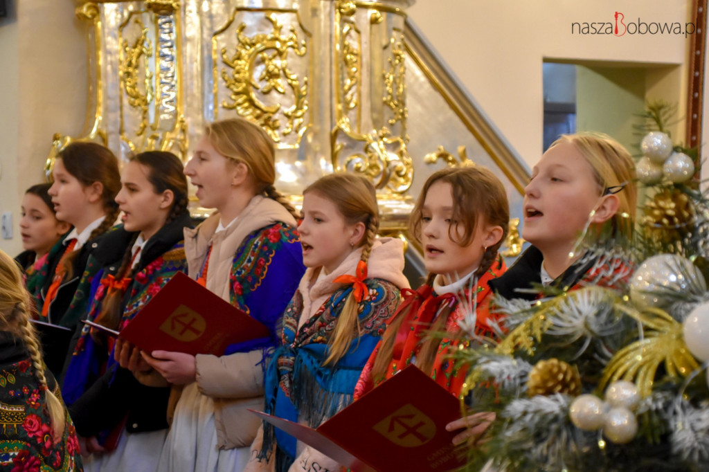 Mała Koronka i Szabasówka w Siedliskach (15.01)