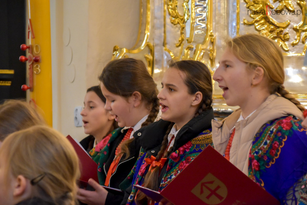 Mała Koronka i Szabasówka w Siedliskach (15.01)
