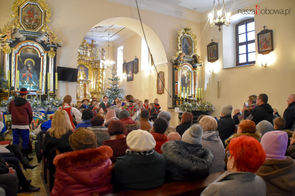 Mała Koronka i Szabasówka w Siedliskach (15.01)