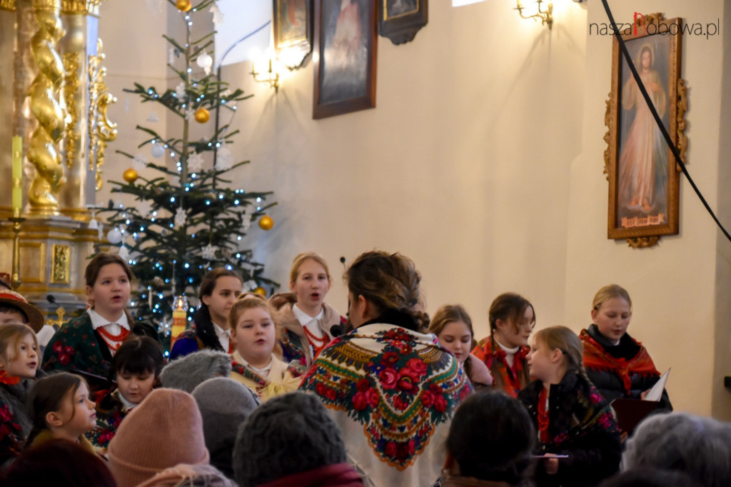 Mała Koronka i Szabasówka w Siedliskach (15.01)