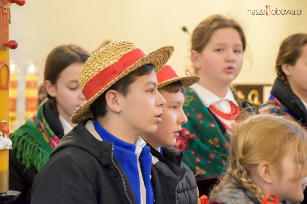 Mała Koronka i Szabasówka w Siedliskach (15.01)