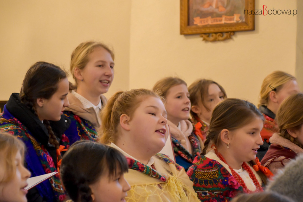 Mała Koronka i Szabasówka w Siedliskach (15.01)