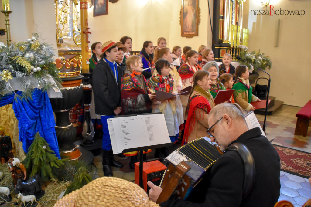 Mała Koronka i Szabasówka w Siedliskach (15.01)
