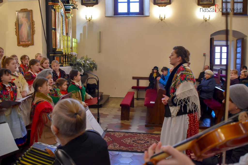Mała Koronka i Szabasówka w Siedliskach (15.01)