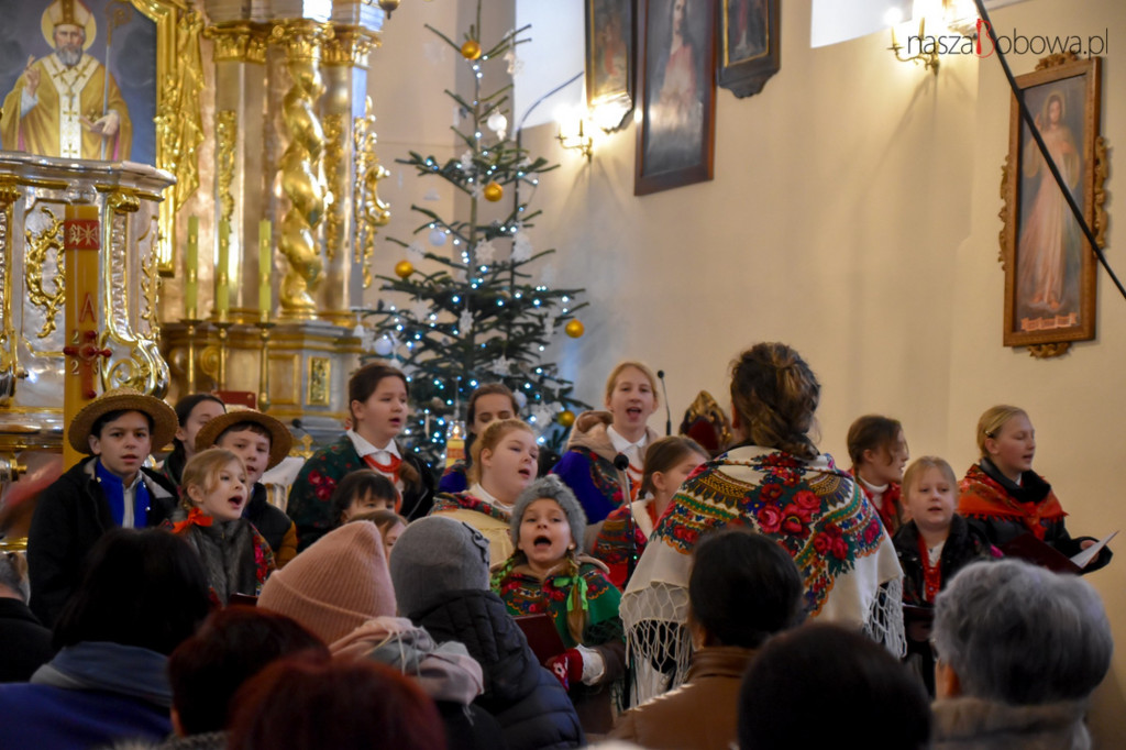 Mała Koronka i Szabasówka w Siedliskach (15.01)