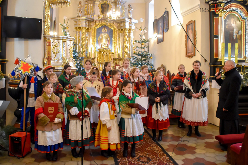 Mała Koronka i Szabasówka w Siedliskach (15.01)