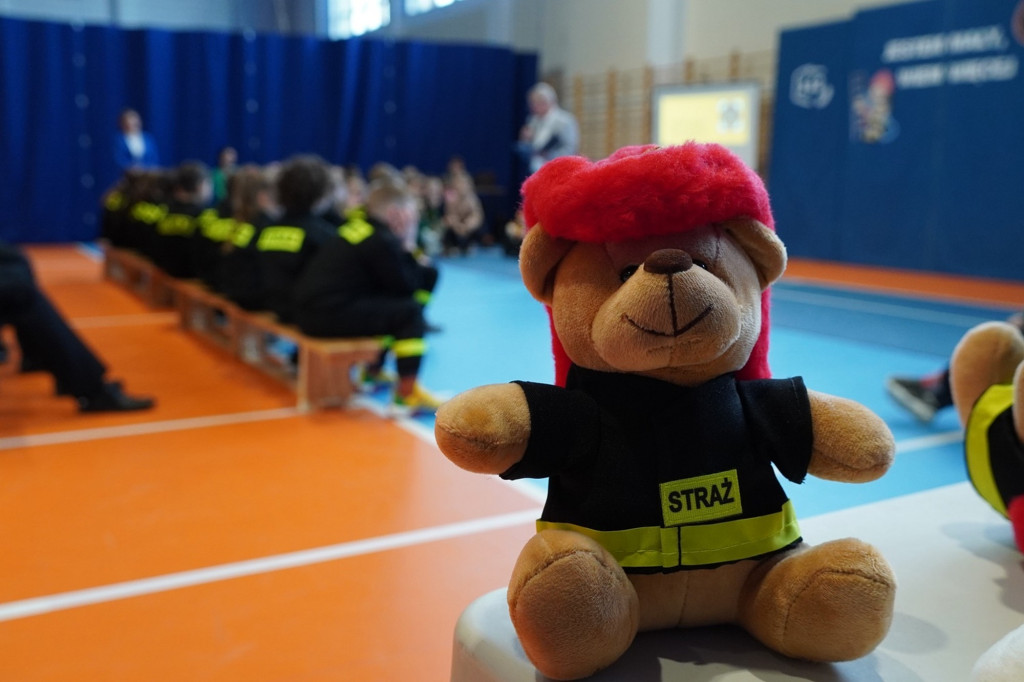 Program OSP Jestem Mały - Wiem Więcej w Kobylance (02.01)