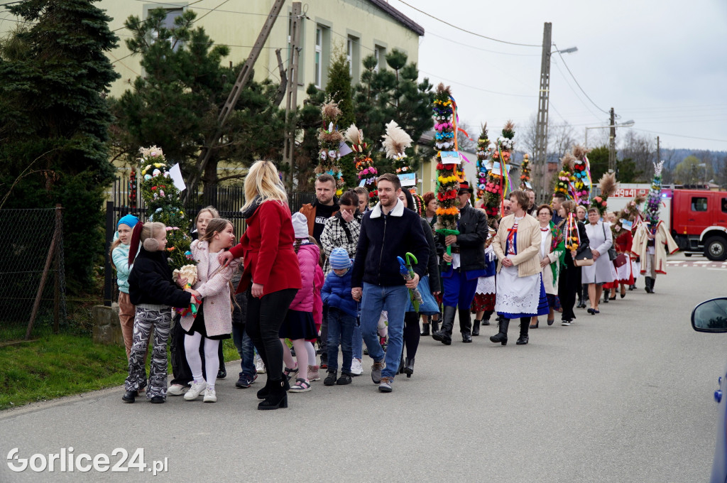Niedziela Palmowa w Kobylance (24.03)