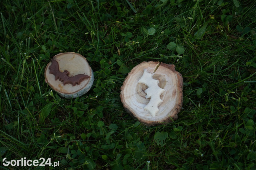 Noc Muzeów pod znakiem Nietoperza 19.05.